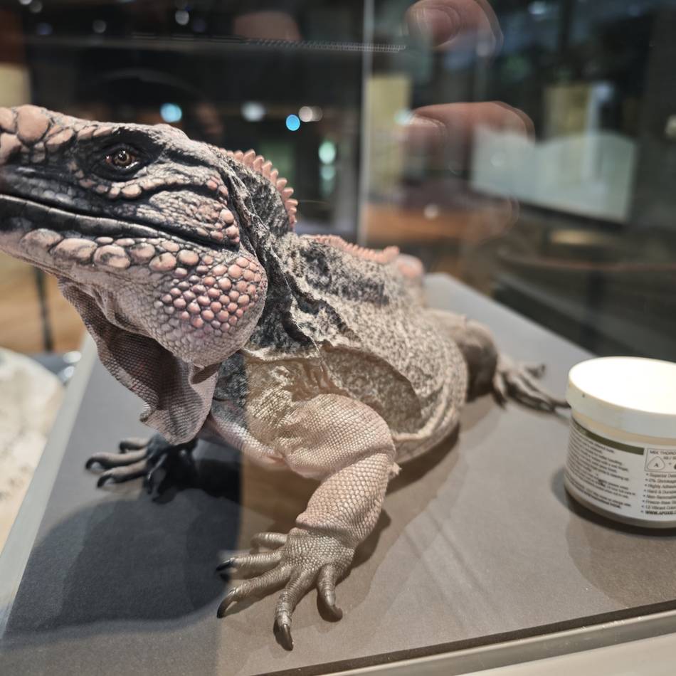 Kleine Sonderausstellung: Was mit den verstorbenen Tieren des Aquazoos geschieht