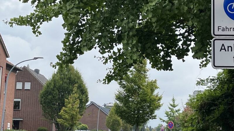 Radverkehrskonzept: Stadt Goch plant ein Netz aus Fahrradstraßen