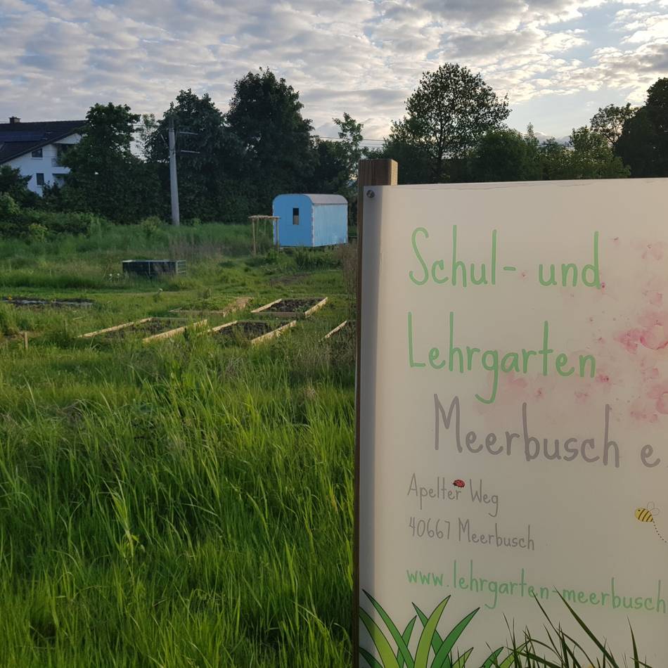 Hobbygärtner in Meerbusch: Lehrgarten in Büderich lädt zur Besichtigung