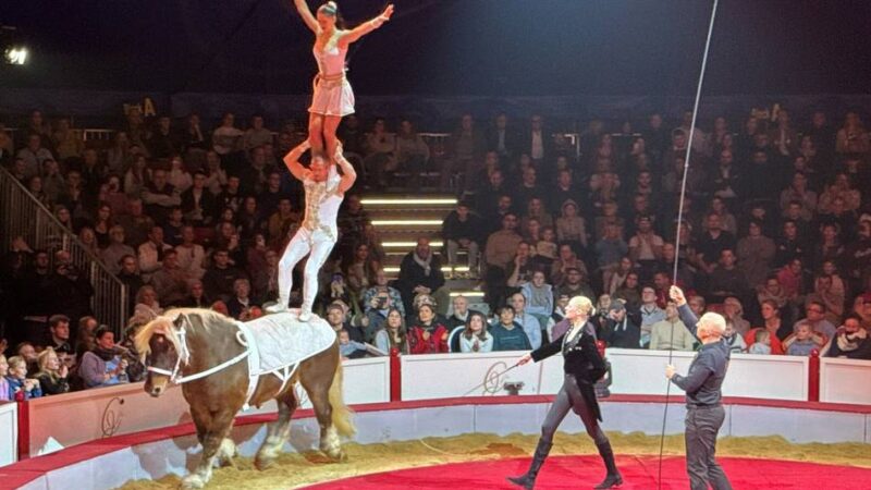 Start am Mittwoch: Vorverkauf für den Xantener Weihnachtscircus beginnt