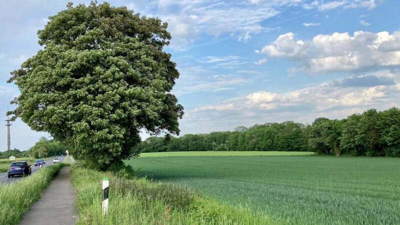 Politik in Leverkusen: Bauausschuss legt Planung für neue Feuerwache auf Eis