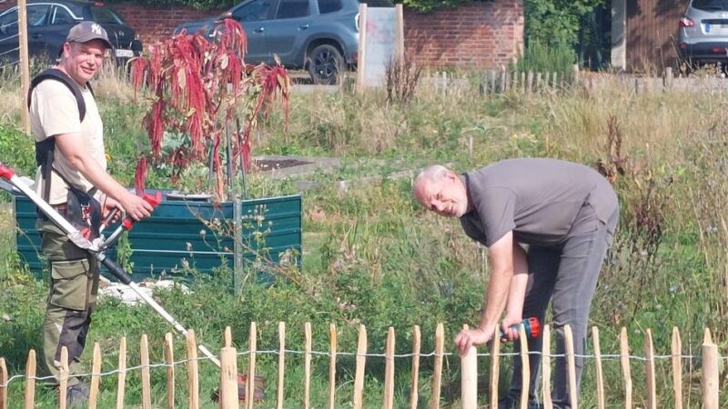 Neuer Teich zieht Tiere an: Schul- und Lehrgarten in Meerbusch wächst weiter