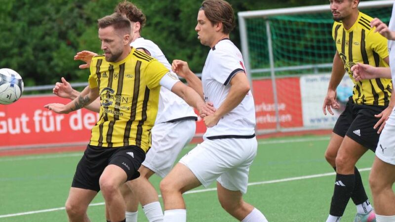 Schiedsrichter nimmt Elfmeter zurück: Was die Niederlage für den SVS besonders bitter macht