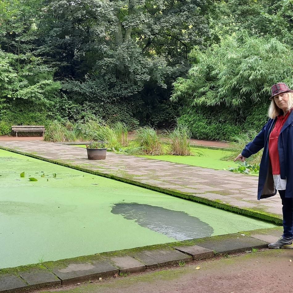Botanischer Garten in Duisburg: Teichboden ist übersät mit toten Fröschen und Vogelkadavern