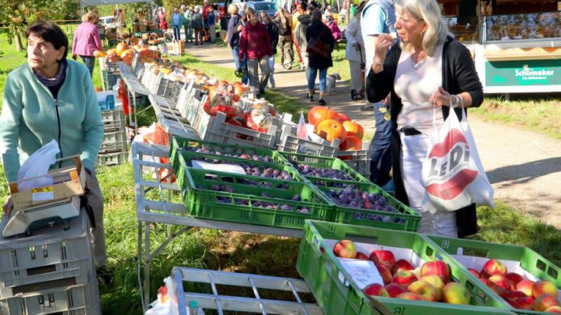 Viele Aktionen für Groß und Klein: Auf der Alpener Streuobstwiese wird gefeiert