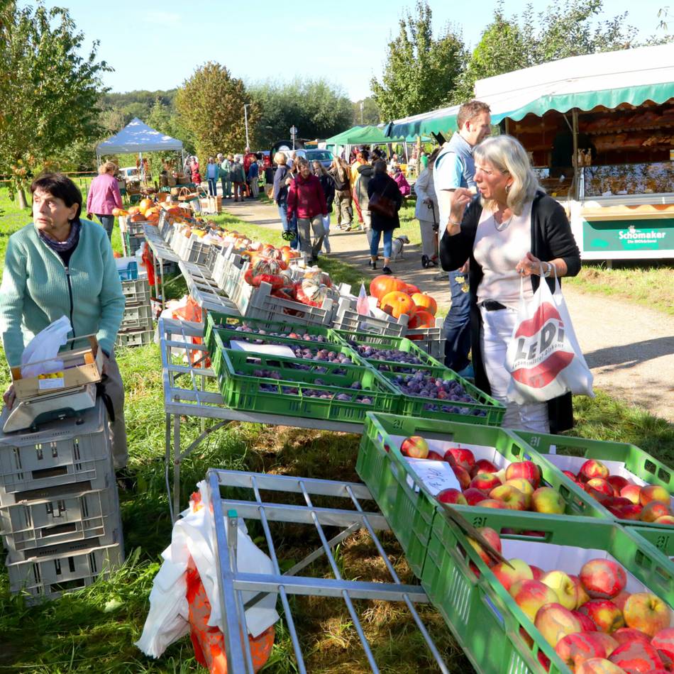 Viele Aktionen für Groß und Klein: Auf der Alpener Streuobstwiese wird gefeiert