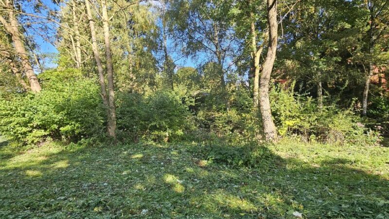 Hückeswagener Stadtrat: Üppige Vegetation wird teuer für die Stadt