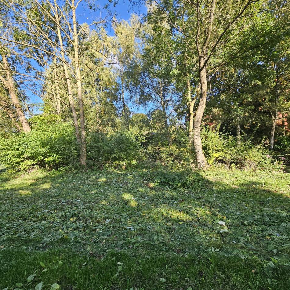 Hückeswagener Stadtrat: Üppige Vegetation wird teuer für die Stadt