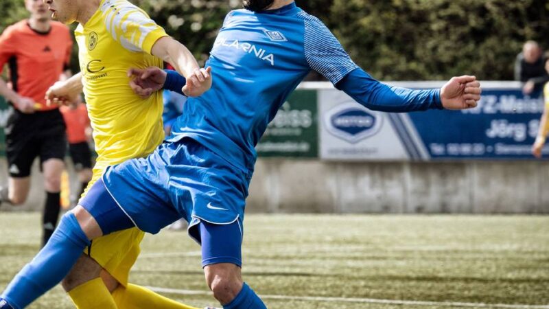 Englische Woche in der Oberliga: SFB reisen zu bislang makellosen Adlern