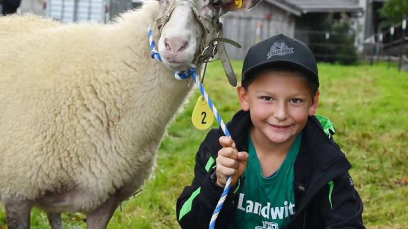 Kreistierschau erstmals in Hückeswagen: Jungzüchter präsentieren stolz ihre Tiere