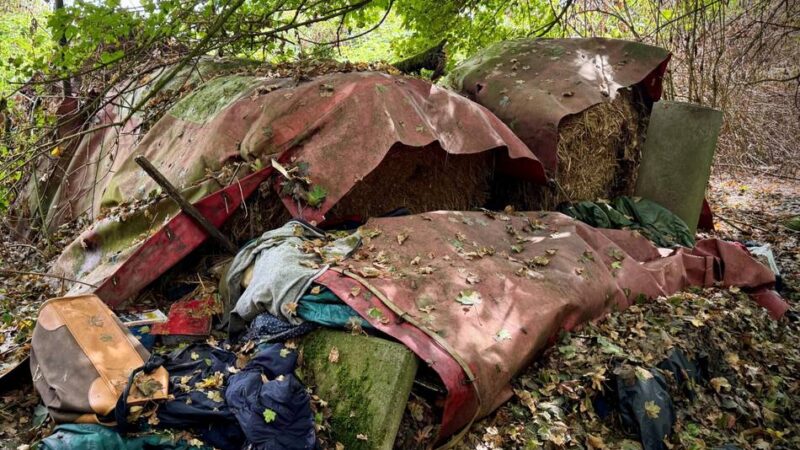 Mann spricht über Skelett-Fund in Neusser Waldstück: „Plötzlich habe ich einen Schädel gesehen“