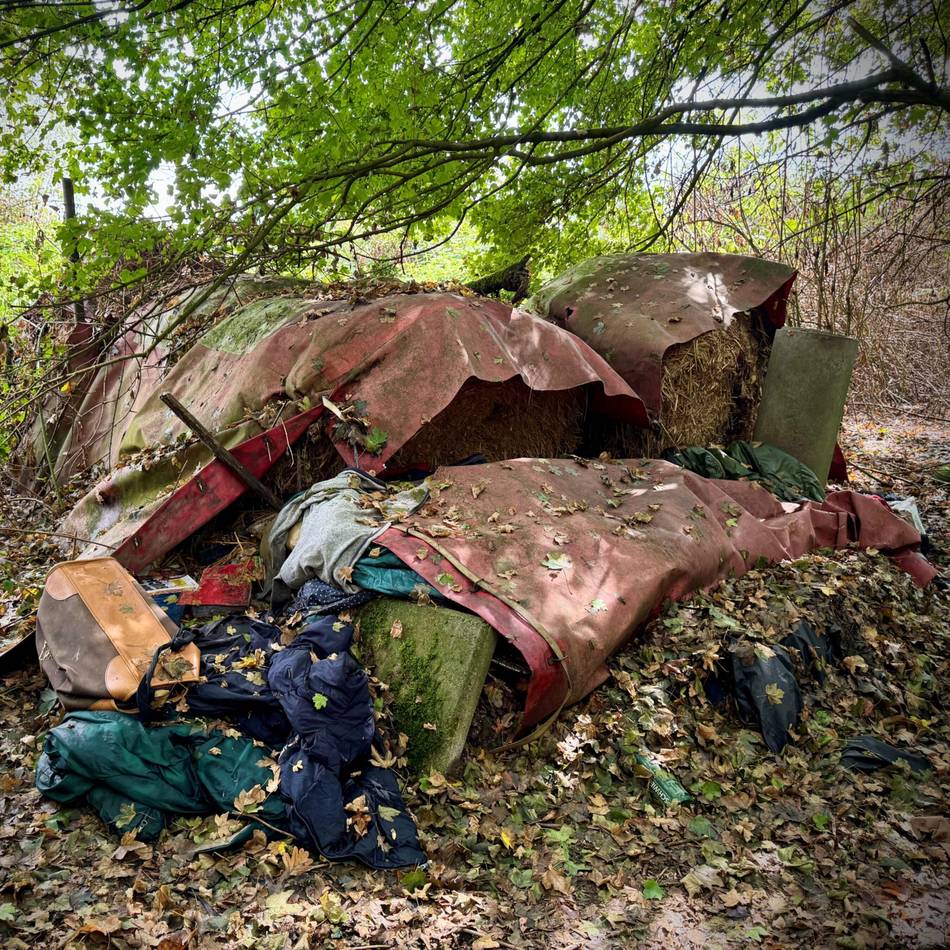 Mann spricht über Skelett-Fund in Neusser Waldstück: „Plötzlich habe ich einen Schädel gesehen“