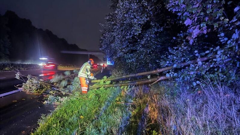 Freiwillige Feuerwehr Alpen im Einsatz: Baum stürzt bei Sturm auf A57