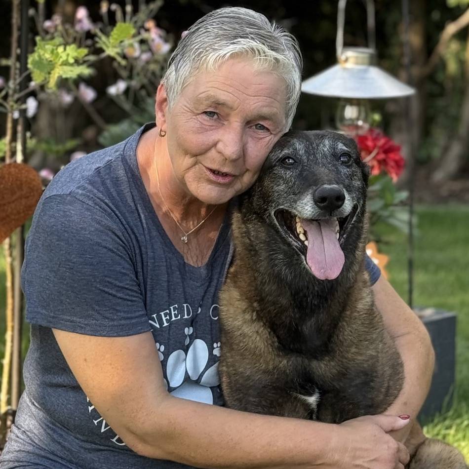 Tipps von Pfotenprofis: Erste Hilfe am Hund – Was Sie tun können, bevor der Tierarzt übernimmt