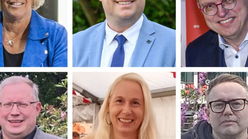 Kommunalwahl in Kaarst: Drei Fragen an die Bürgermeisterkandidaten