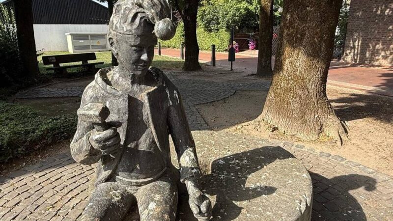 Kot auf Bürgersteigen und Bänken: Uedem hat ein Taubenproblem – Gemeinde will handeln