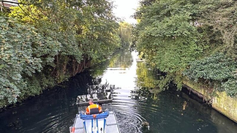 Idee aus Berlin: Neues Verfahren soll Kleves Algenproblem lösen