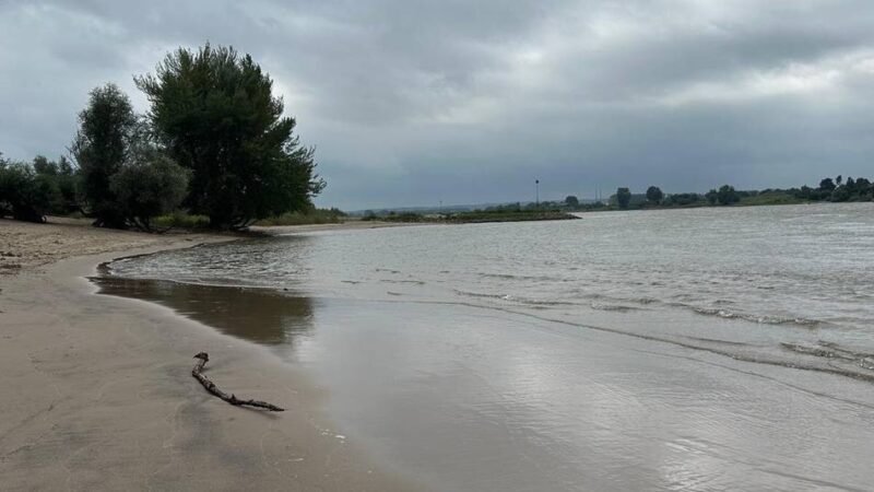 Thema bei „Aktenzeichen XY…“: Unbekannte Tote nahe der Grenze – Frau aus der Waal geborgen