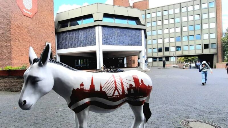 Stadtratswahl in Wesel: Statt Jamaika ist GroKo denkbar – und Los entscheidet über neuen SPD-Fraktionschef