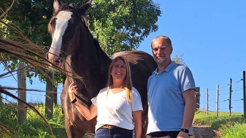 Wanderwoche in Hückeswagen führt zur Pferdezucht Molehill-Shire: Das Leben mit Shire Horses im Bergischen