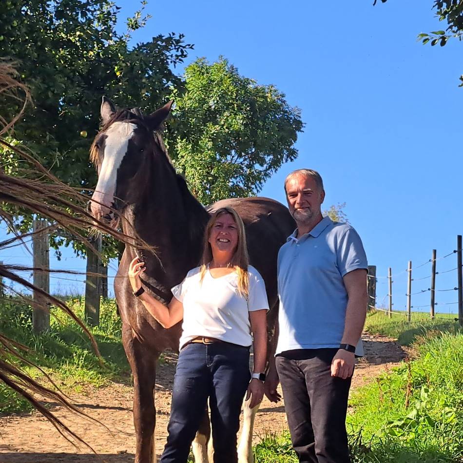 Wanderwoche in Hückeswagen führt zur Pferdezucht Molehill-Shire: Das Leben mit Shire Horses im Bergischen