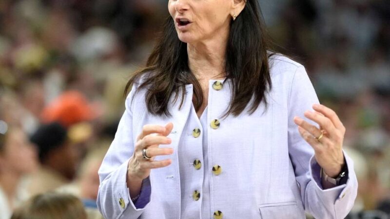 Basketball: Fiebich und Sabally bekommen neuen Coach in WNBA