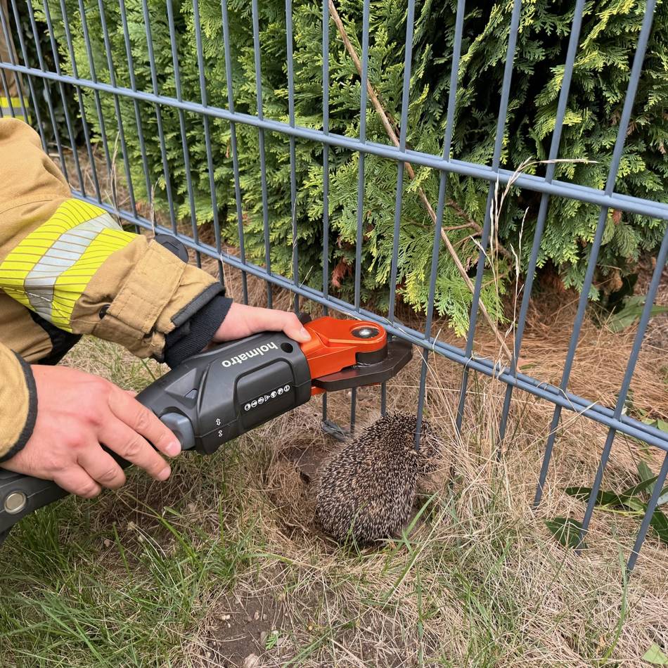 Einsatz der Einheit Alpen: Feuerwehr befreit Igel aus misslicher Lage