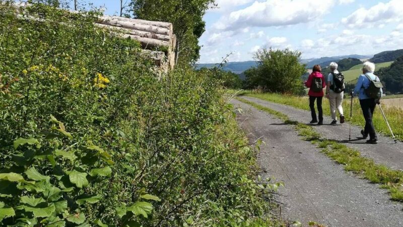 Natur in Hilden: Diese Wanderungen bietet der SGV Hilden im Oktober an