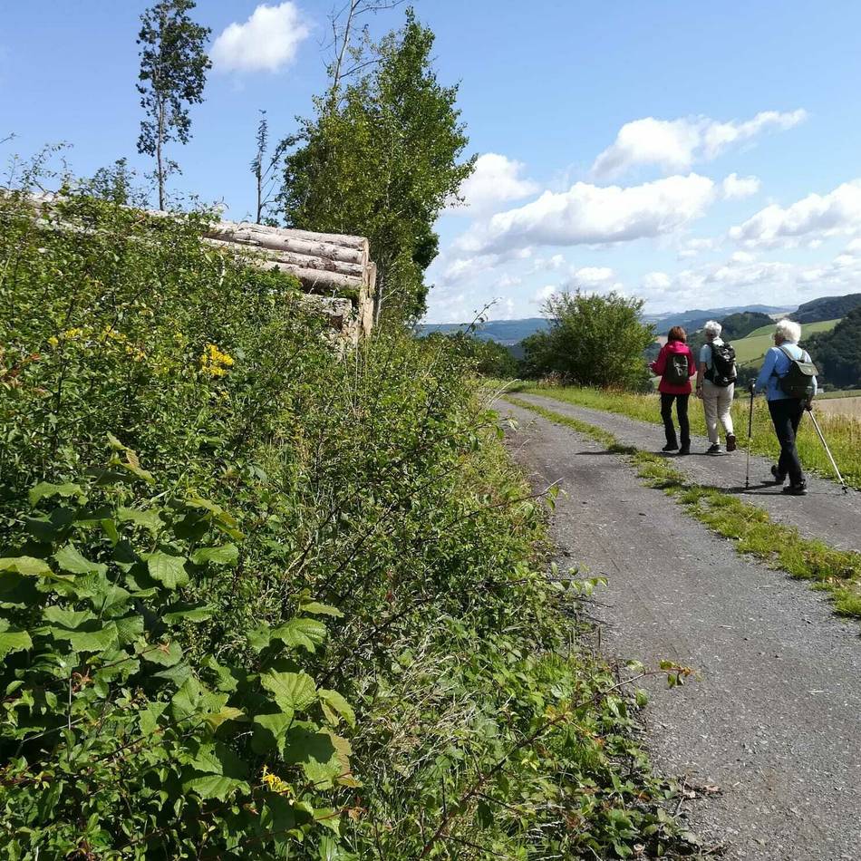 Natur in Hilden: Diese Wanderungen bietet der SGV Hilden im Oktober an
