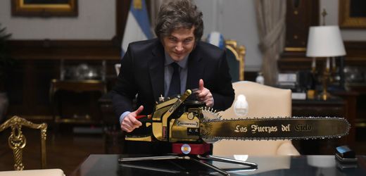 Javier Milei: Vom Vorzeigelibertären zum Krisenpräsidenten Argentiniens
