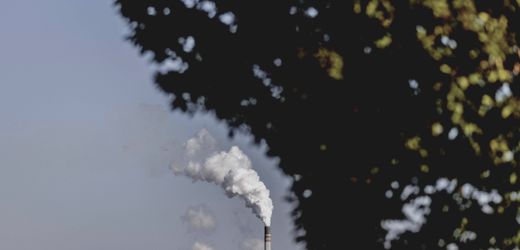 Klimakrise: Weltwetterorganisation meldet stärksten je gemessenen CO₂-Anstieg in der Atmosphäre