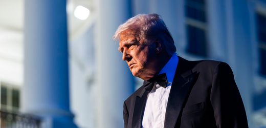 Jimmy Kimmel und Co.: Wie Sie Donald Trump richtig ärgern können – Kolumne