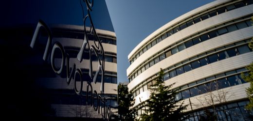 Wirtschaftsminister von Dänemark: »Europa hilft gegen Putin nur eins: Tempo, Tempo, Tempo«