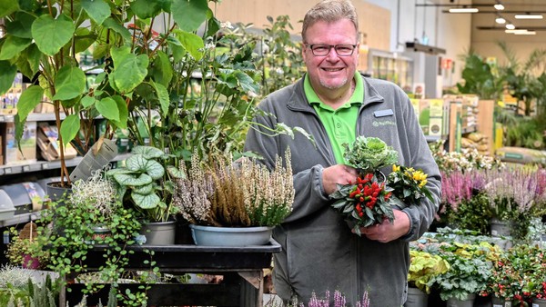 Herbstbepflanzung leicht gemacht: Fachmann gibt Tipps