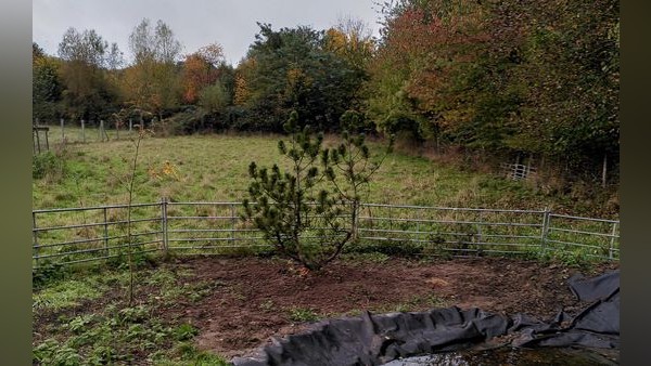 Helfen statt Knast: Jugendliche packen im Verein kräftig an