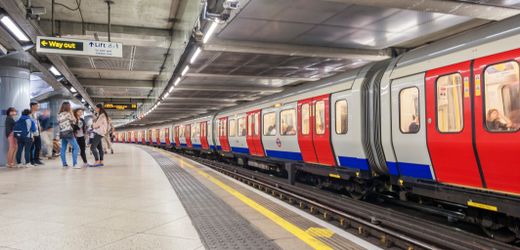 »London Underground Mosquitos«: Genanalysen widerlegt Annahme zur Evolution der U-Bahn-Mücke