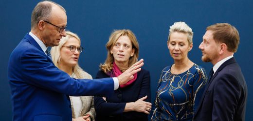 CDU: Friedrich Merz will AfD bekämpfen wie zuvor die Grünen