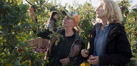 Tatort »Letzte Ernte« mit Maria Furtwängler: Miss Marple im Alten Land