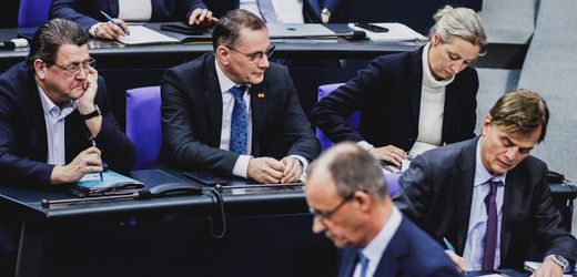 AfD: Hat die Brandmauer die rechtsextreme Partei gestärkt? Das sagt die Forschung