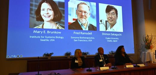 Medizin-Nobelpreis: Hoffnung für Patienten mit Neurodermitis, Multipler Sklerose, Krebs