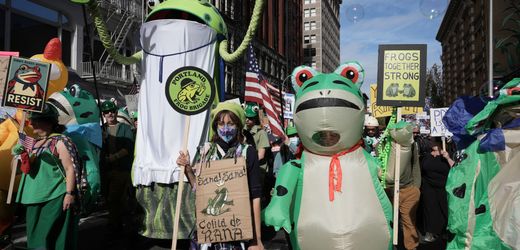 »No Kings«-Proteste in den USA: Das steckt hinter den Frosch-Kostümen