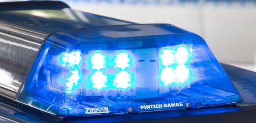 Bremerhaven: Polizei stellt Penisattrappe bei mutmaßlichem Verkehrssünder sicher