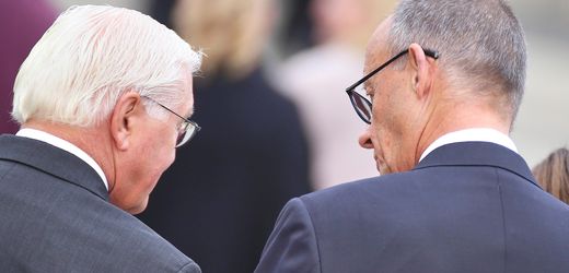 Frank-Walter Steinmeier fordert mutige Sozialreformen von Friedrich Merz