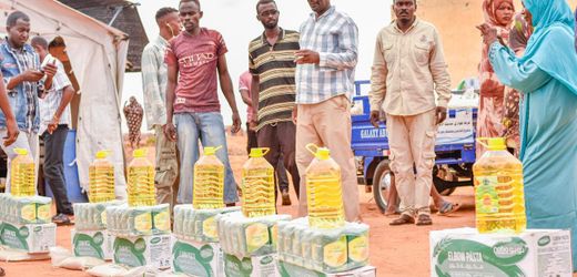 Alternativer Nobelpreis für Nothelfer aus dem Sudan und Aktivisten in Myanmar