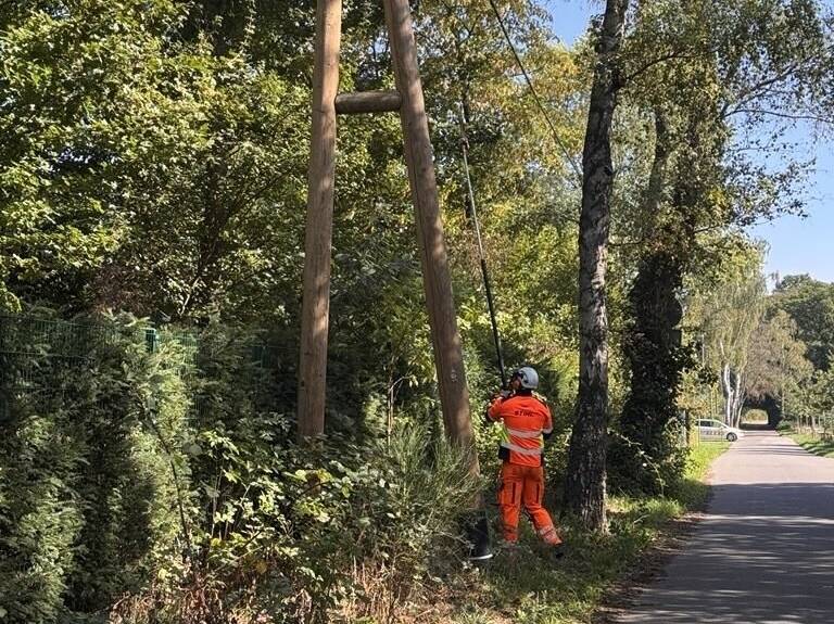 Stromversorgung im Kreis Kleve: Westnetz schneidet Stromtrassen in der Region frei