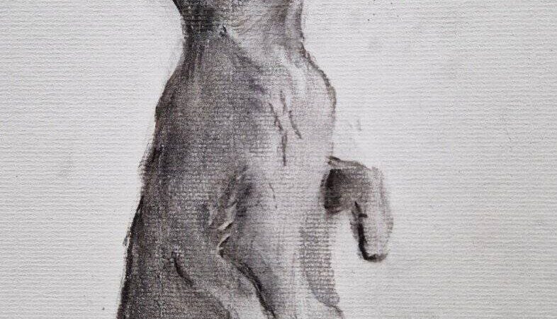 Kreativkursus in Radevormwald: Wie man sein Lieblingstier in Kohle verewigen kann