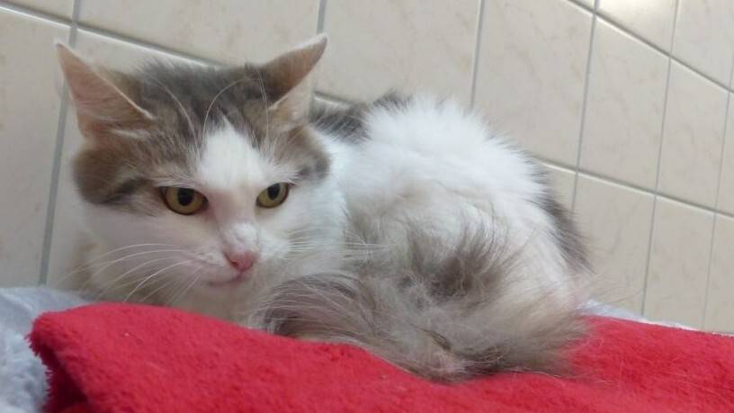 Tier der Woche: Für Mia ist viel Ruhe wichtig