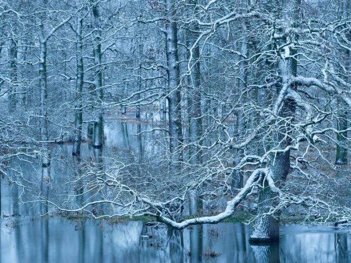 Kulturzentrum Sinsteden im Rhein-Kreis Neuss: Preisgekrönte Naturfotografien in Sinsteden zu Gast
