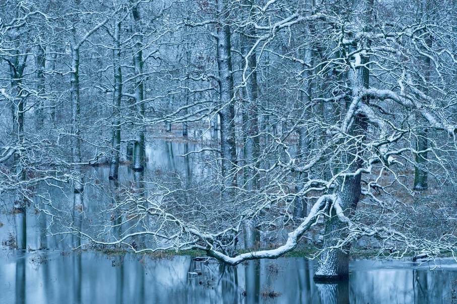 Kulturzentrum Sinsteden im Rhein-Kreis Neuss: Preisgekrönte Naturfotografien in Sinsteden zu Gast
