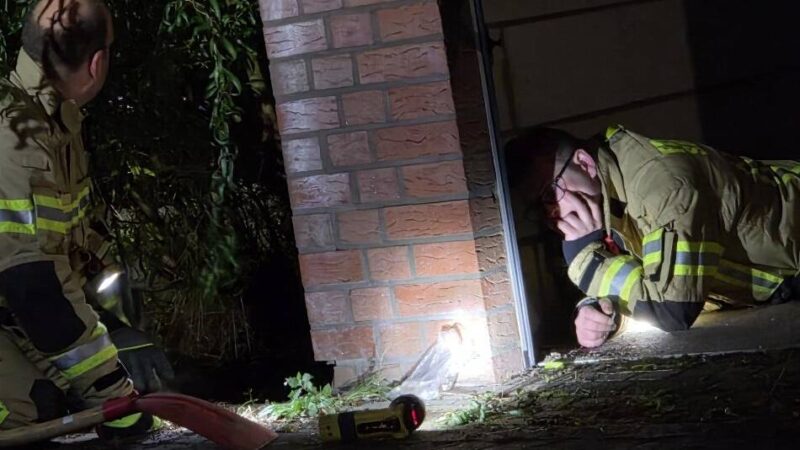 Große Aktion der „Harten Hunde“: Tierretter um Ralf Seeger graben in Gocher Garagenhof nach Hund